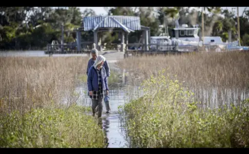 Wanda and David Scott stand on the flooded causeway to their dock at their home on Whitemarsh Island. Image by GPB Photo / Stephen B. Morton. United States, 2020.