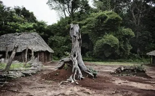 Abandoned homes on the outskirts of Ango, northeastern Congo. People have fled due to recent activity, abductions and killings by the Lord's Resistance Army. (Photo by Marcus Bleasdale)