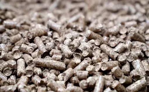 Wood pellets produced at the Enviva plant in Northampton County, N.C., seen on Tuesday, Sept. 3, 2019. Enviva is the world’s largest producer of wood pellets. Image by Ethan Hyman. United States, 2019.
