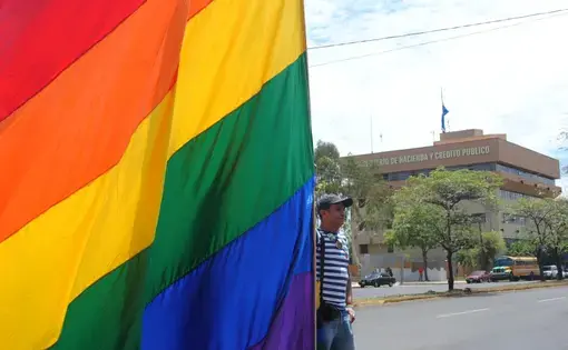 Media file: gay flag one.JPG