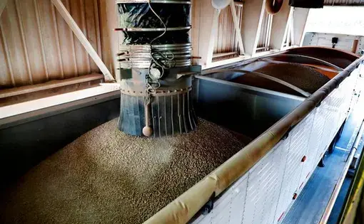 Processed wood pellets are loaded into a hopper at the Enviva plant in Northampton, N.C. Tuesday, Sept. 3, 2019. Enviva is the country’s largest producer of wood pellets. Image by Ethan Hyman. United States, 2019.