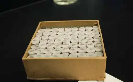 frozen mosquitoes in box