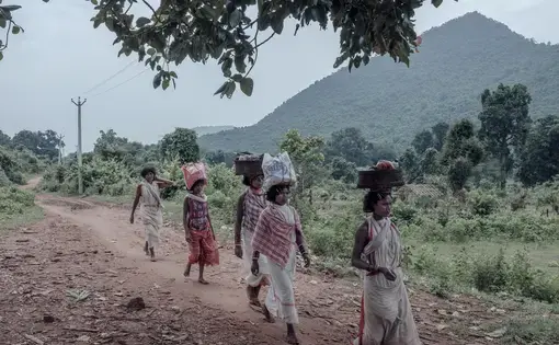 Dongria women returning from the market at the foot of the Niyamgiri hills. Image by Arko Datto. India, 2018.