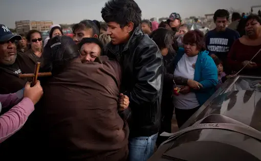 Media file: mexiconinis.jpg
