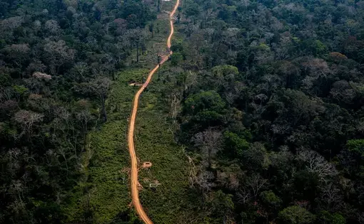 Amazon rainforest area in Acre. Deforestation points are easily identifiable by satellite imagery along the roads. Image by Marcio Pimenta. Brazil, 2019. 