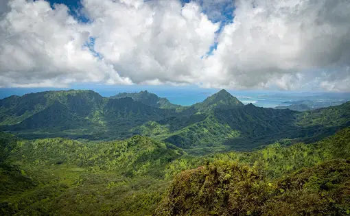 Watersheds provide clean drinking water, carbon sequestration and help prevent floods and droughts. A University of Hawaii study estimated the Koolau Range provides between $7.4 billion and $14 billion in value to the state. Image by Kuʻu Kauanoe/Civil Beat. United States, 2020.