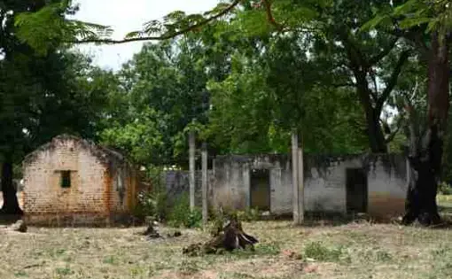 Media file: peacebuilding.jpg