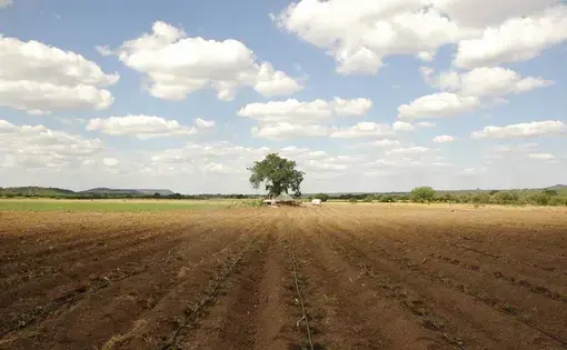 Media file: segment3bg2.jpg