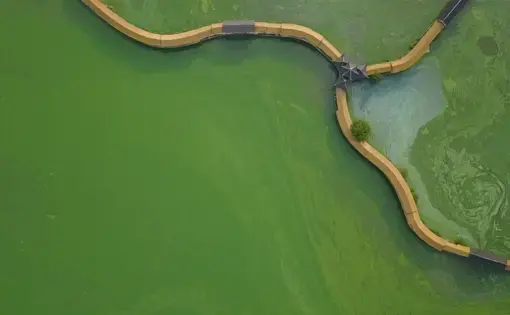Still from drone footage by George Steinmetz. China, 2017.