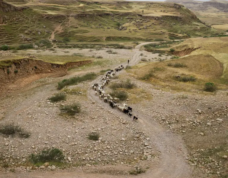 Nomads in Iran | Pulitzer Center