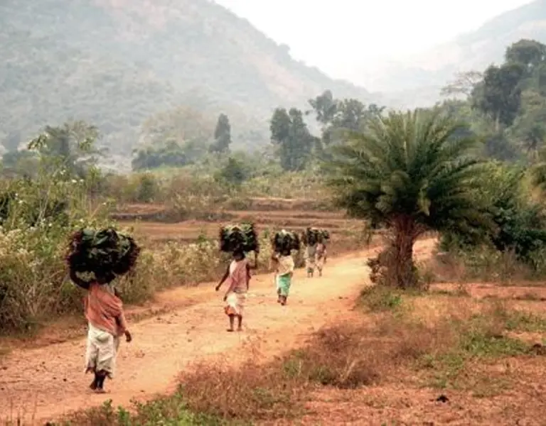 Juxtaposition between Development and Tribal Rights: A Story of Determined Struggle of Niyamgiri Tribes