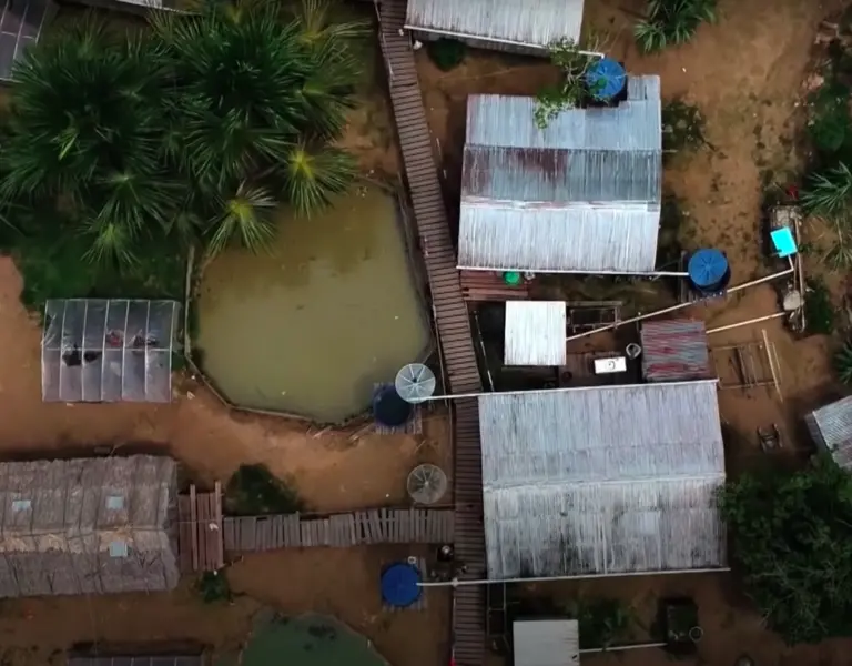 Video Life In An Extractive Reserve In The Amazon Forest Portuguese Pulitzer Center