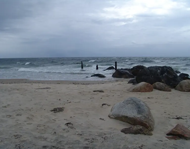 Six Prominent Women Guide Response to R.I.'s Coastal Changes - Vimarsana News