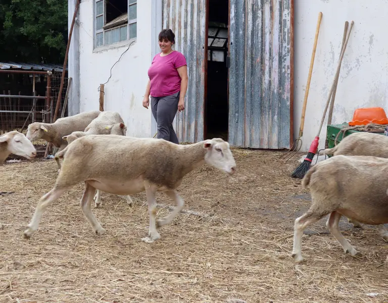 The Dwindling Villages of Rural Italy and the People Out To Save Them ...