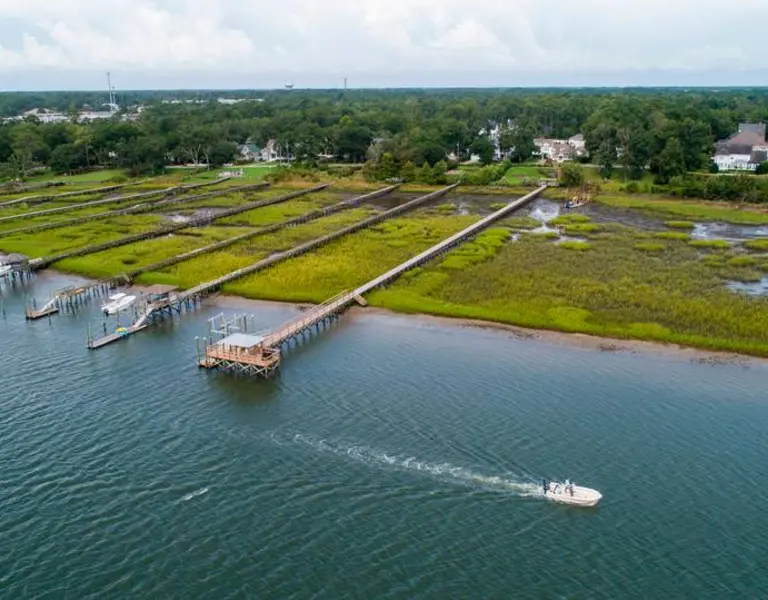 NC's Salt Marshes Hold 64 Million Tons of Carbon Dioxide. What Happens if They Die? - Vimarsana News