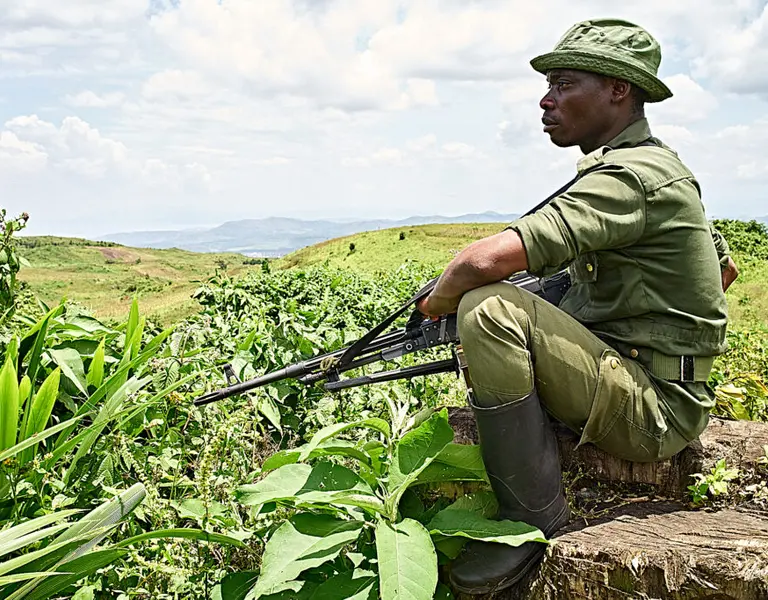 Eco-guardians of the Kahuzi-Biega National Park - Vimarsana News