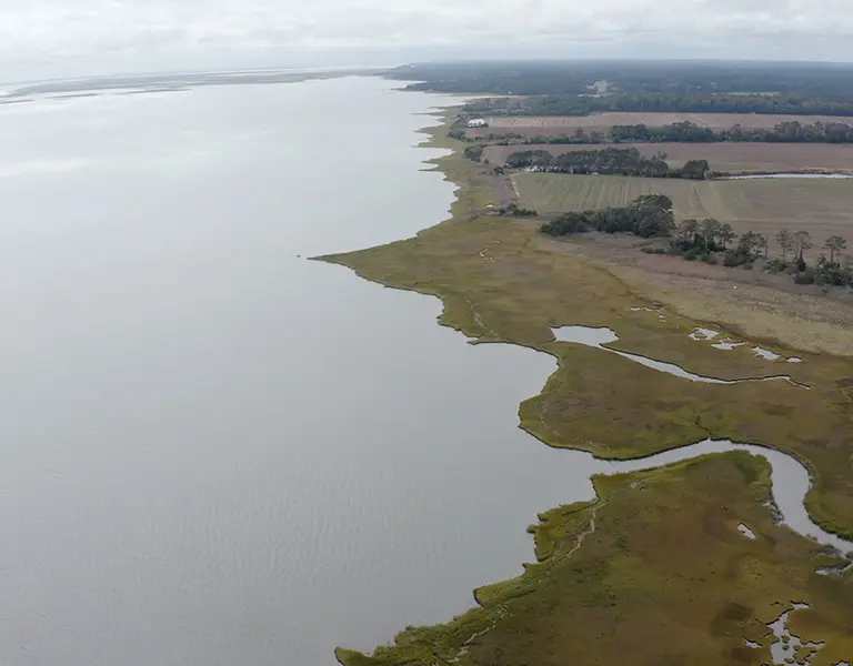 At a Crossroads: How Rising Seas Threaten Farming in Eastern Virginia - Vimarsana News
