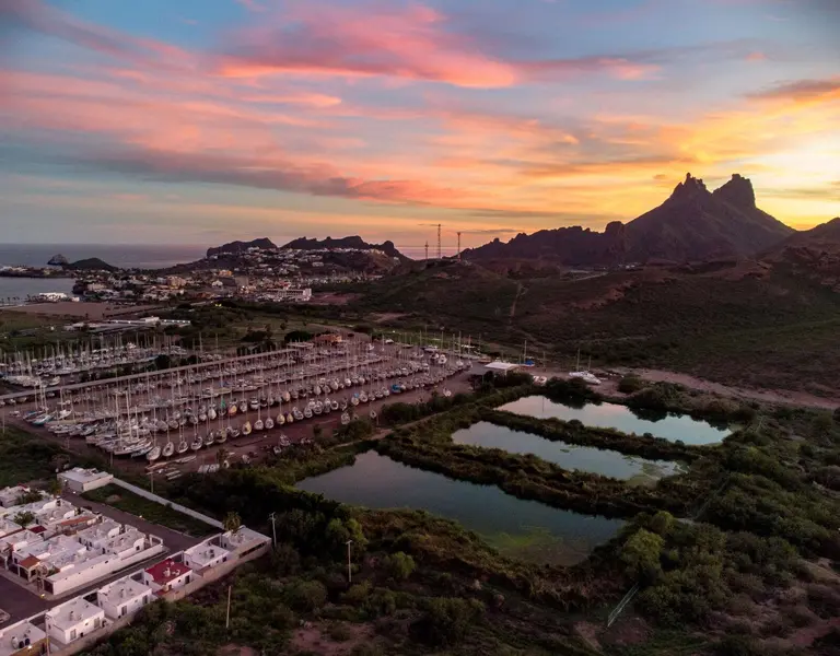 As Raw Sewage Flows, Guaymas Residents Beg: "Please Listen to Us" - Vimarsana News