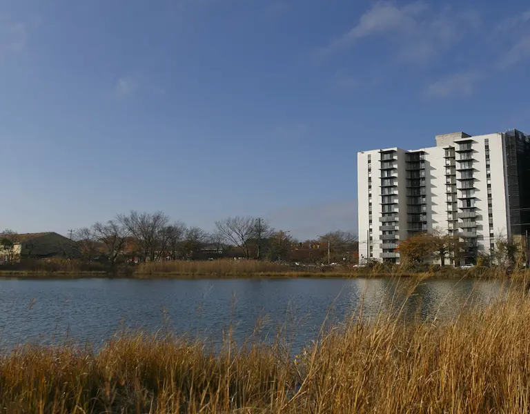 'This Process Has Been Hell': Sea Level Rise Could Make It Even Harder To Find Affordable Housing - Vimarsana News