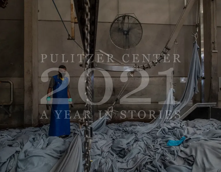 2021: A Year in Stories - Vimarsana News