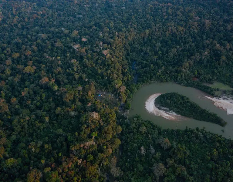 Exclusive: Court deals blow to 'invaders' at Amazon reserve - Vimarsana News