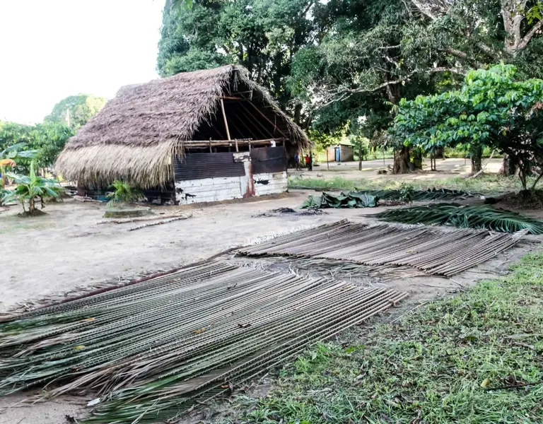 #CorredorFurtivo: A Conversation About Environmental Crimes in the Venezuelan Amazon (Spanish) - Vimarsana News