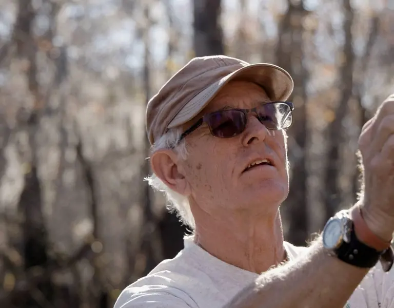 State of Change: Ancient Trees in North Carolina - Vimarsana News