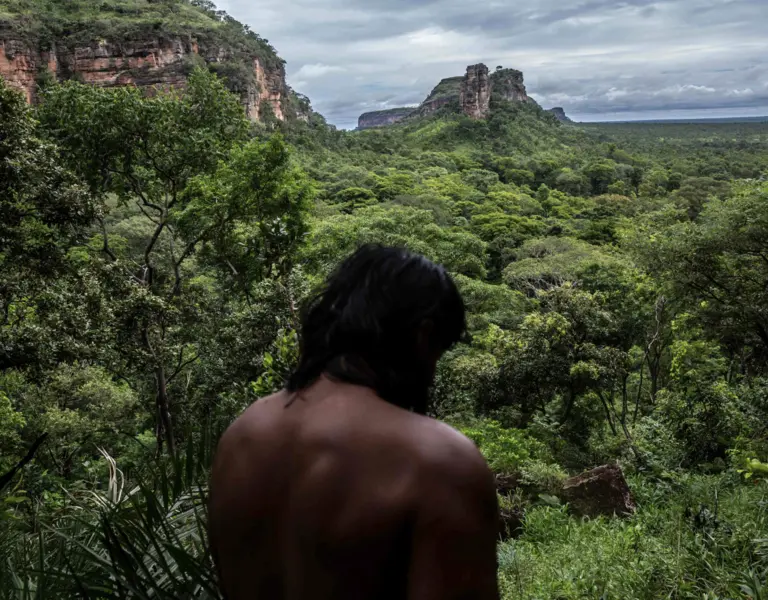 An Indigenous Village Works To Save a Brazilian Forest, Seed by Seed - Vimarsana News