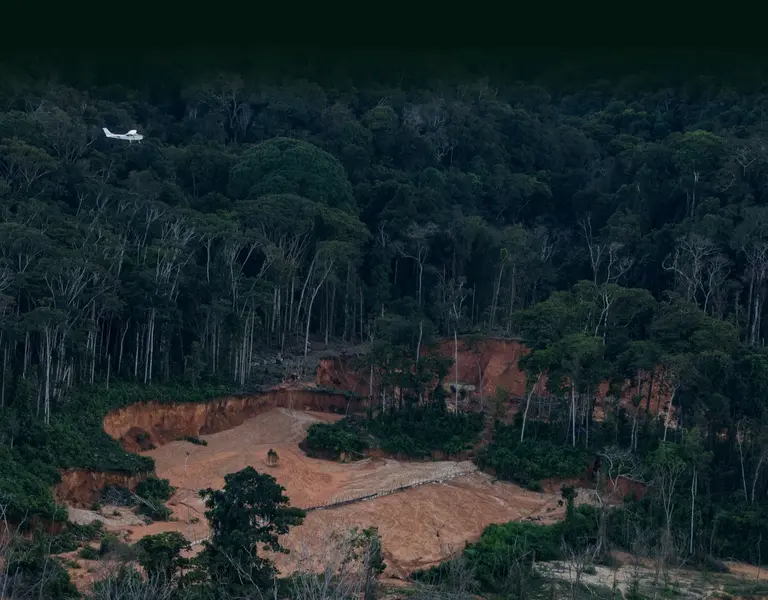 Brazil aerial photos show miners' devastation of indigenous people's land, Global development