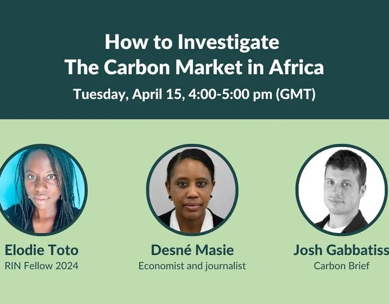 Webinar on Demand: How To Investigate the Carbon Market in Africa ...