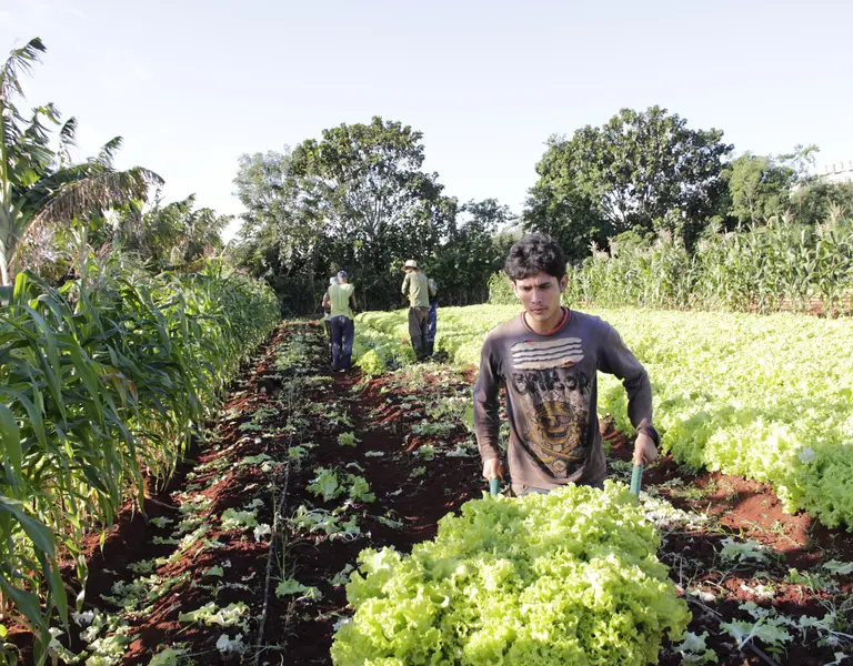 Procesos ecológicos
