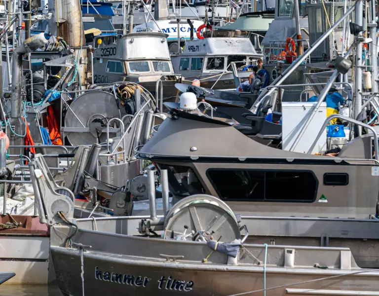 Villages Lose Lucrative Bristol Bay Fishing Permits to Alaska Cities