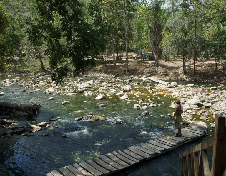 Roots Without Memory: Why Cultural Erosion Is the Amazon’s Invisible ...