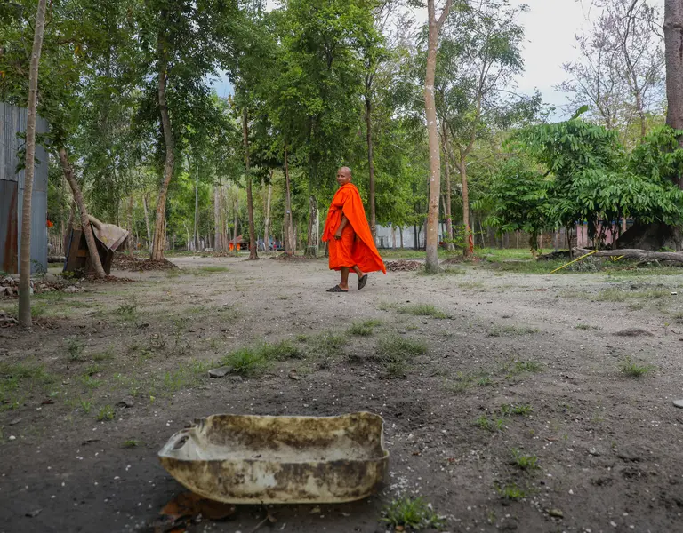 Conservationists Look for 'Divine Intervention' From Forest Development - Vimarsana News