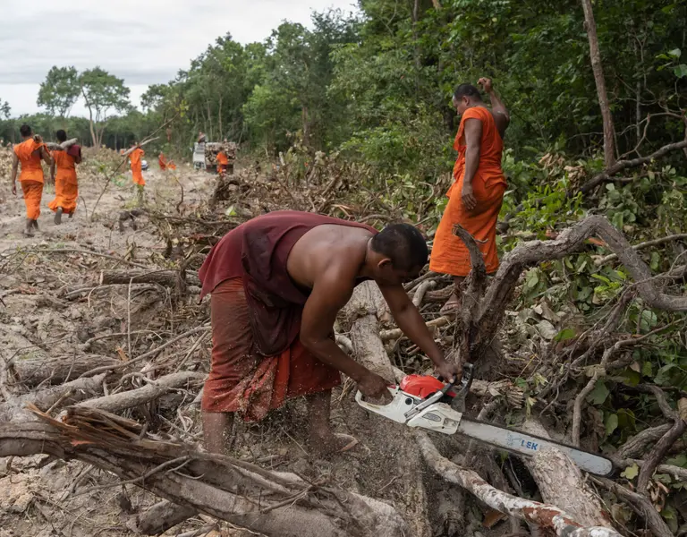 Reforestation Follows Cambodian PM's Intervention - Vimarsana News
