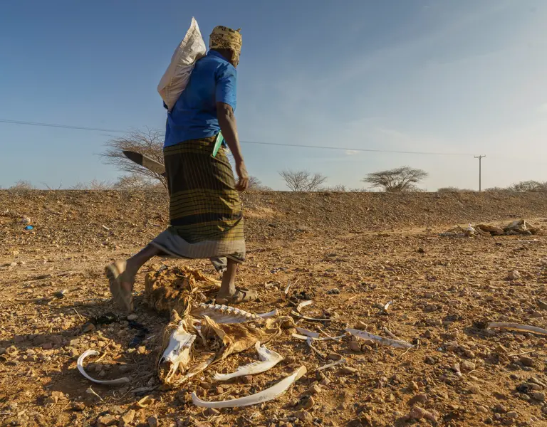 Climate Change Is Driving Millions to the Precipice of a 'Raging Food Catastrophe' - Vimarsana News