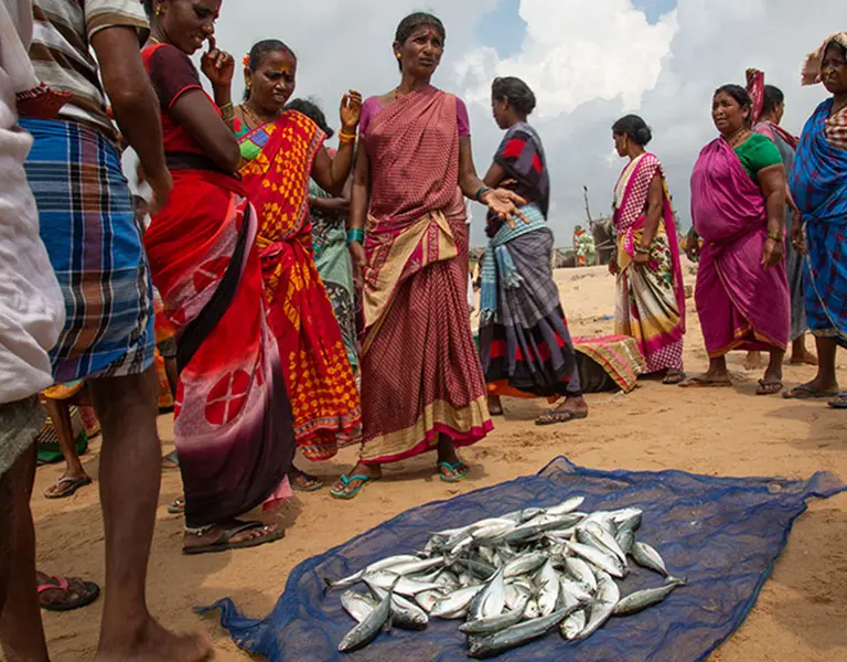 On the Front Line of Climate Change, Fisherfolk Stare Into the Abyss - Vimarsana News