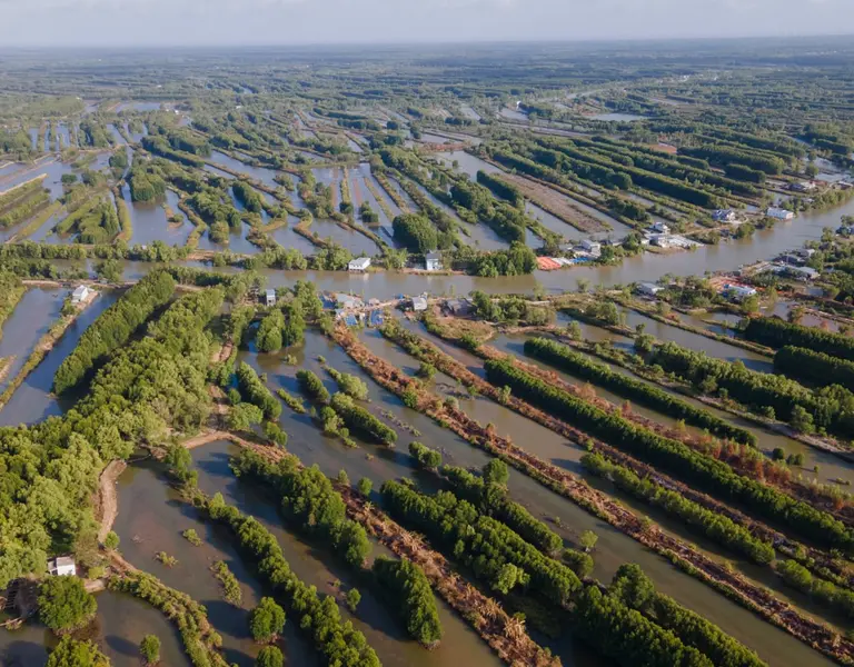The Human Stories Behind the Mekong’s Ecological Collapse | Pulitzer Center