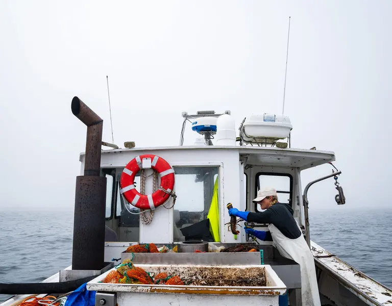 A 'Whole Way of Life' at Risk As Warming Waters Change Maine's Lobster  Fishing
