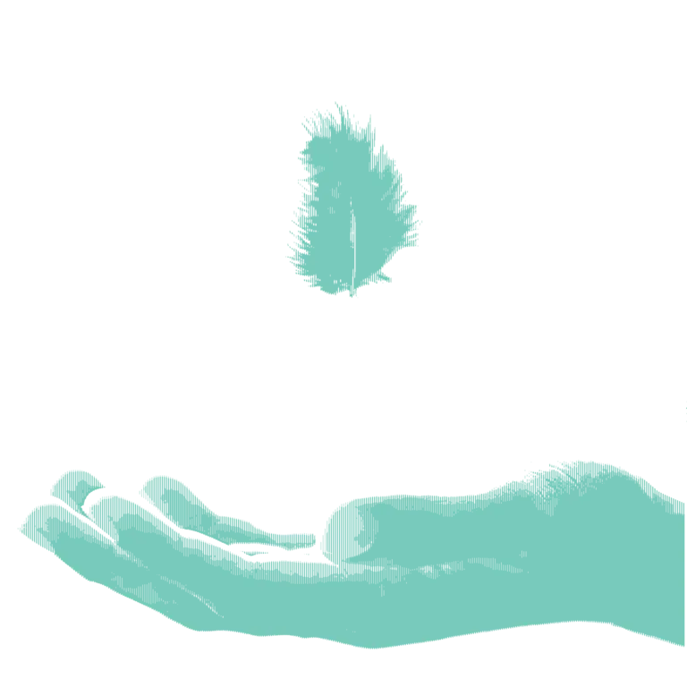 Conflict and Peace Building