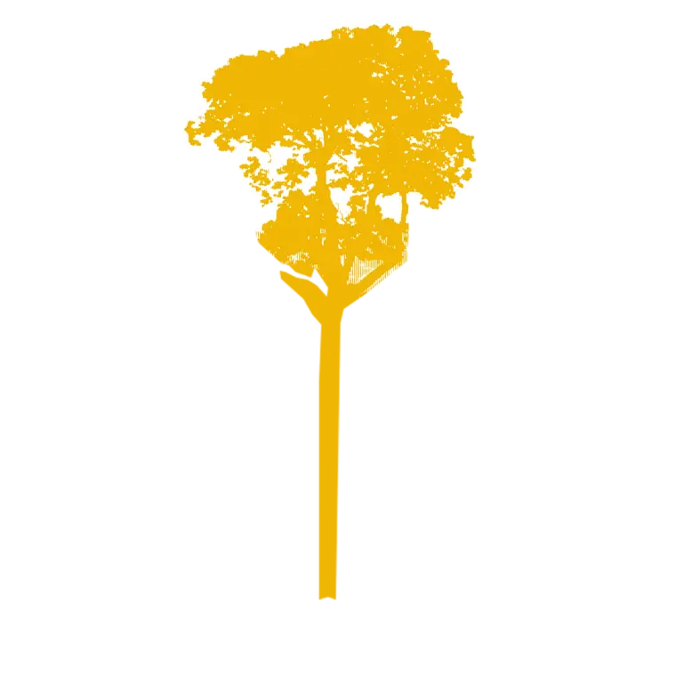 Environment and Climate Change