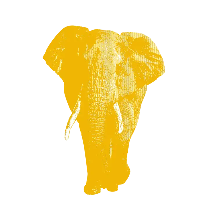A yellow elephant