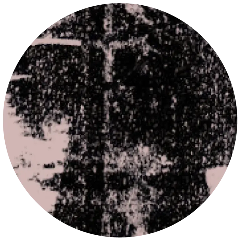 a black and white textural design