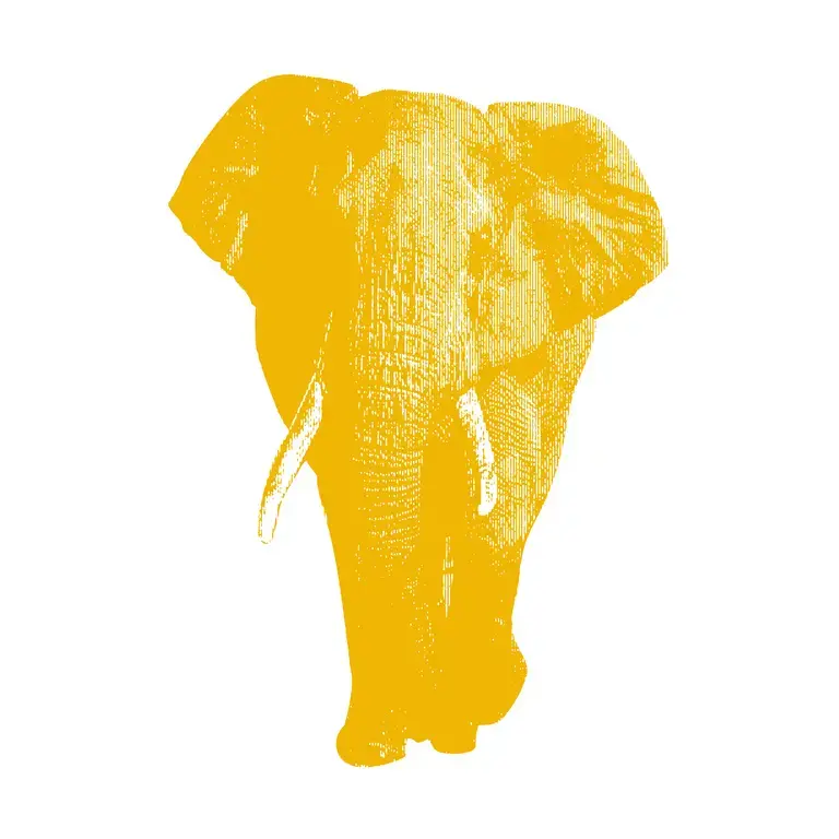 yellow halftone illustration of an elephant