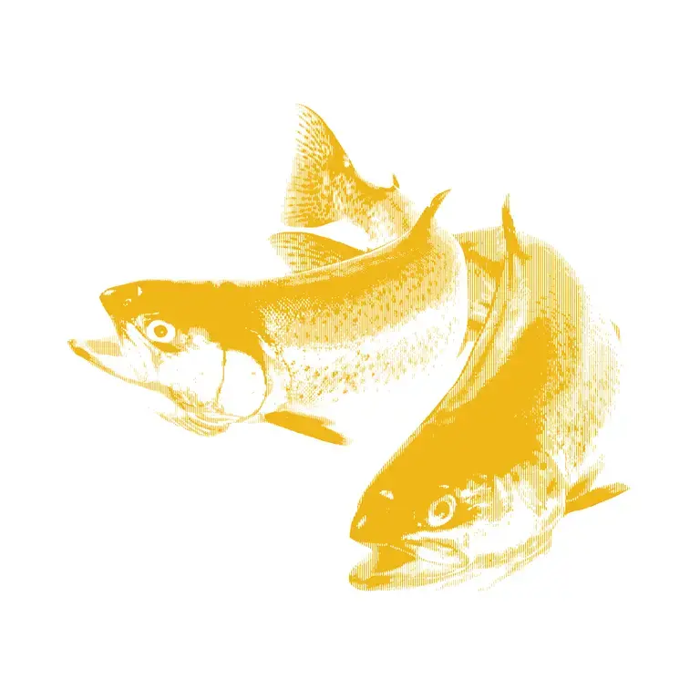 a yellow halftone illustration of two trout