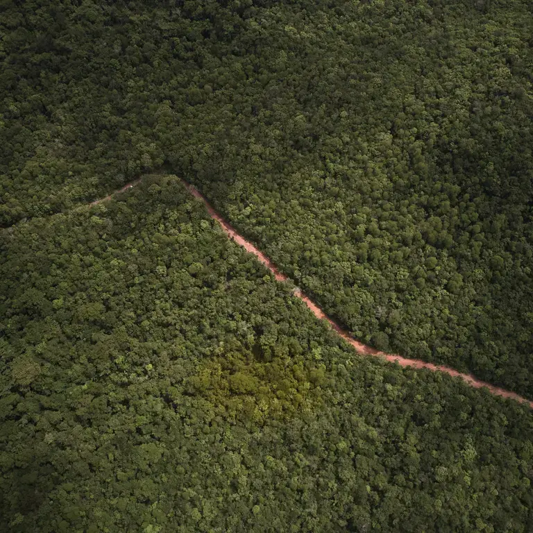 an aerial shot of a skinny line of cleared land cutting through a rainforest