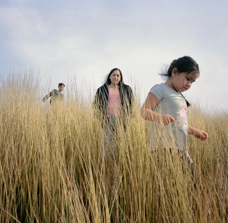 two children and an older woman walk in a line through tall yellow grasses