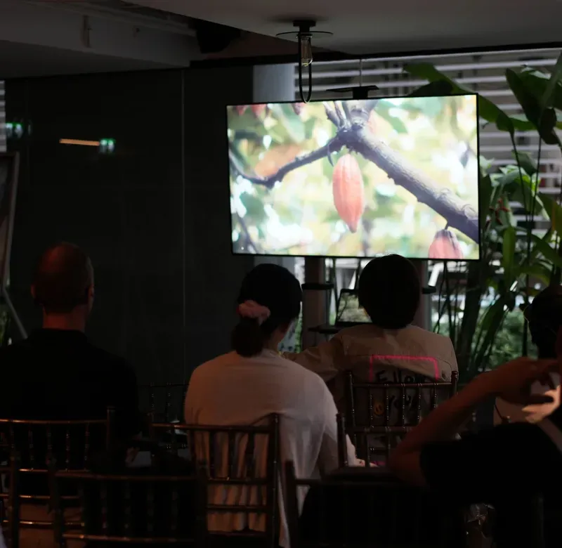 a group of people sit in a dark screening room watching a documentary