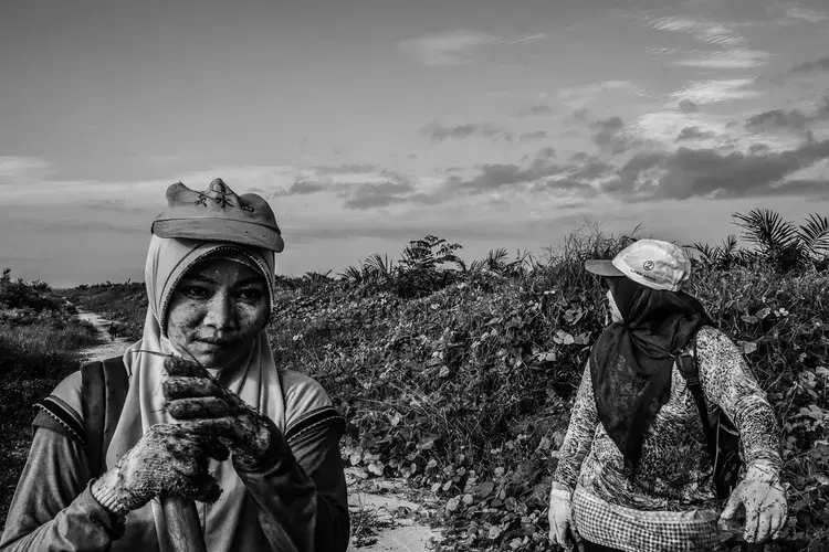 DAILY GRIND. Supraetun (left) and Asnia inside the plantation in Kandis, Riau, Indonesia. Image by Xyza Cruz Bacani. 2018.
