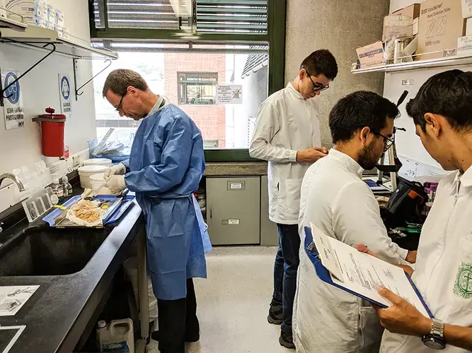 The brain lab at the University of Antioquia includes organs from 100 members of a single family who carried a genetic mutation for early-onset Alzheimer's disease. Image by Greg Kendall-Ball. Colombia, 2018.